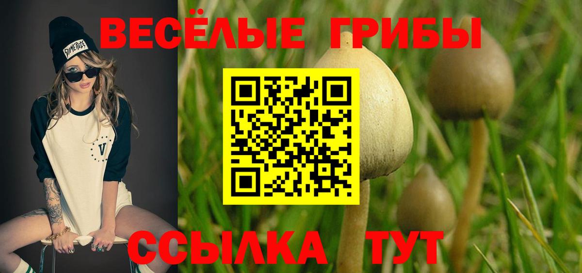 Галлюциногенные грибы Cubensis Шарыпово